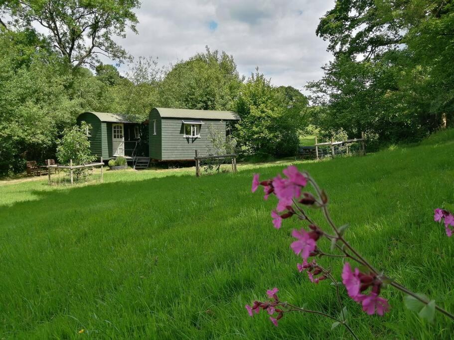 Penn Bergeyn Shepherd'S Huts Exeter Exterior foto