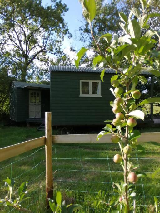 Penn Bergeyn Shepherd'S Huts Exeter Exterior foto