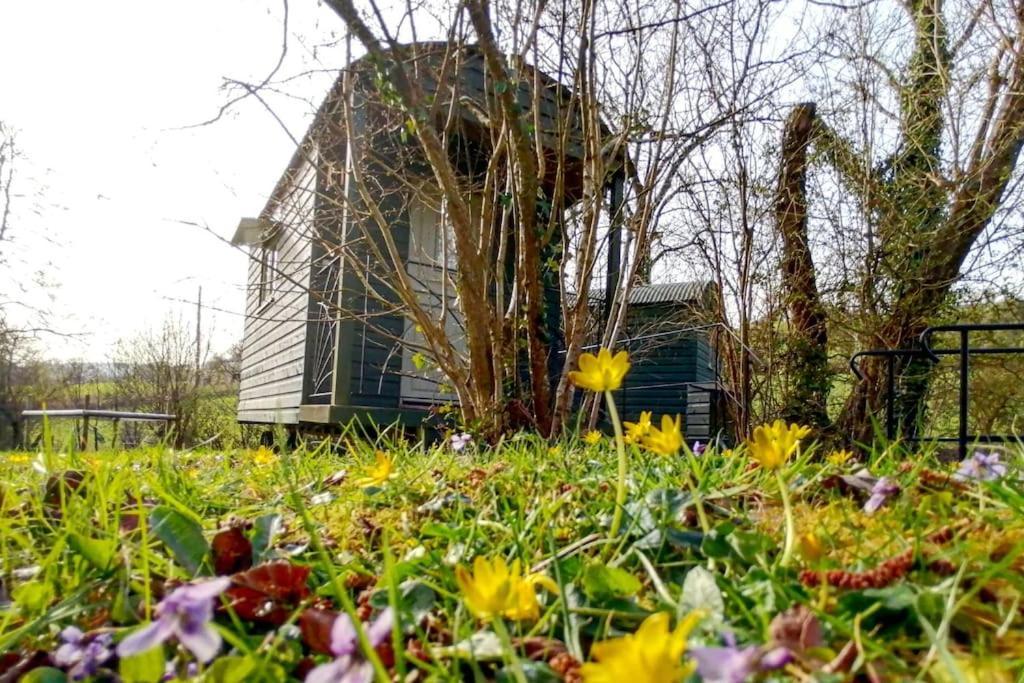 Penn Bergeyn Shepherd'S Huts Exeter Exterior foto